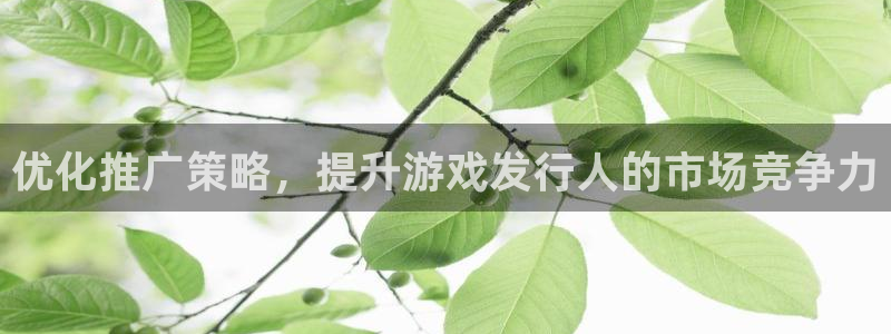 im电竞子财经丛书有哪些：优化推广策略，提升游戏发行人的市场竞争力