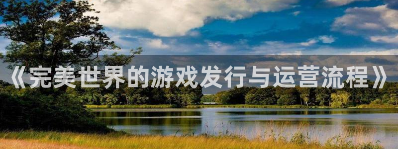 im电竞官网招商主管：《完美世界的游戏发行与运营流程》
