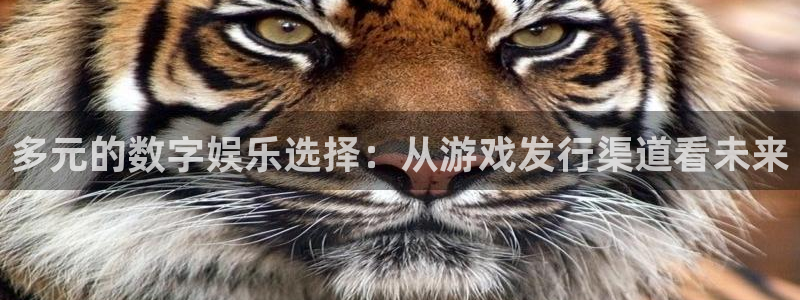 江苏im电竞智得新材料有限公司：多元的数字娱乐选择：从游戏发行渠道看未来