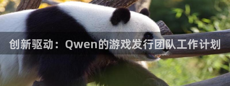 im电竞官网登录注册账号失败怎么回事：创新驱动：Qwen的游戏发行团队工作计划