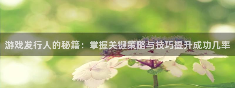 im电竞官网注册方法视频下载：游戏发行人的秘籍：掌握关键策略与技巧提升成功几率