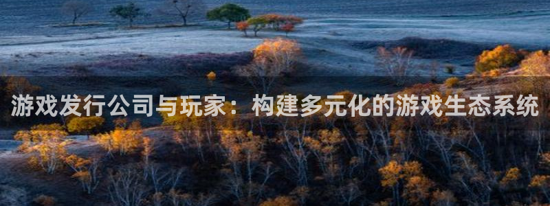 im电竞官网官网注册账号密码：游戏发行公司与玩家：构建多元化的游戏生态系统
