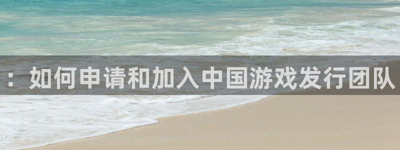 im电竞子文化游戏：：如何申请和加入中国游戏发行团队