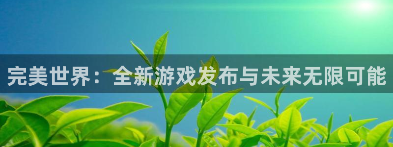 im电竞干红葡萄酒750毫升多少钱：完美世界：全新游戏发布与未来无限可能