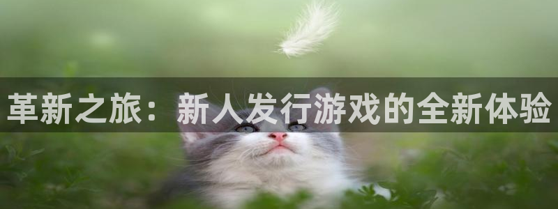 im电竞官网挂机项目怎么样啊：革新之旅：新人发行游戏的全新体验