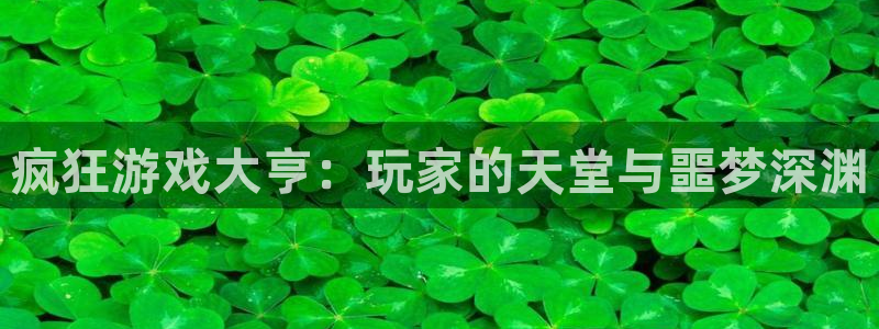 im电竞官网客服服务：疯狂游戏大亨：玩家的天堂与噩梦深渊