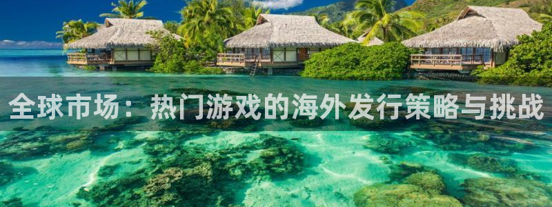 im电竞官网注册方法有哪些：全球市场：热门游戏的海外发行策略与挑战