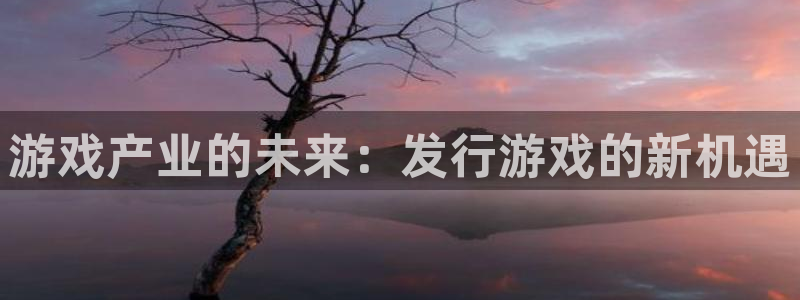im电竞防水的质量怎么样：游戏产业的未来：发行游戏的新机遇