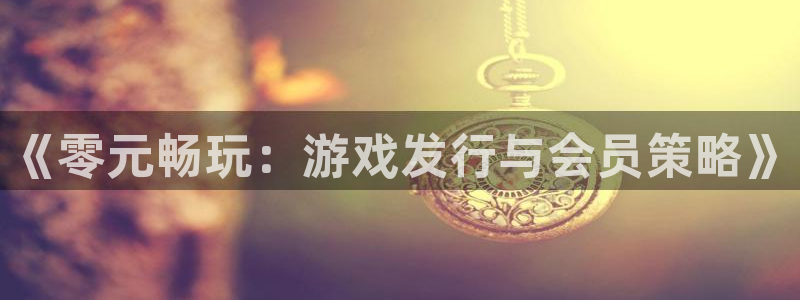im电竞技术有限公司怎么样