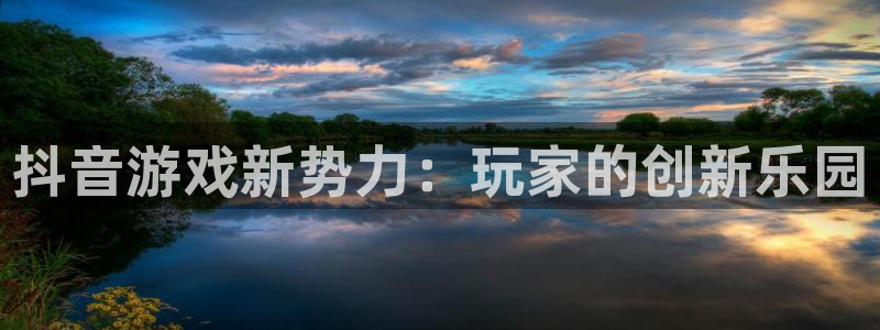 im电竞子上市