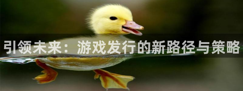 im电竞子文化：引领未来：游戏发行的新路径与策略