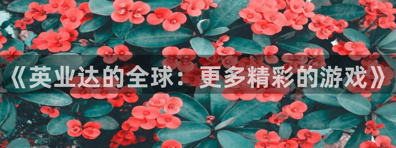 im电竞官网平台注册账号注意事项：《英业达的全球：更多精彩的游戏》
