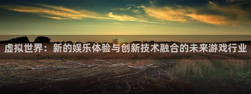 广州im电竞足球俱乐部：虚拟世界：新的娱乐体验与创新技术融合的未来游戏行业