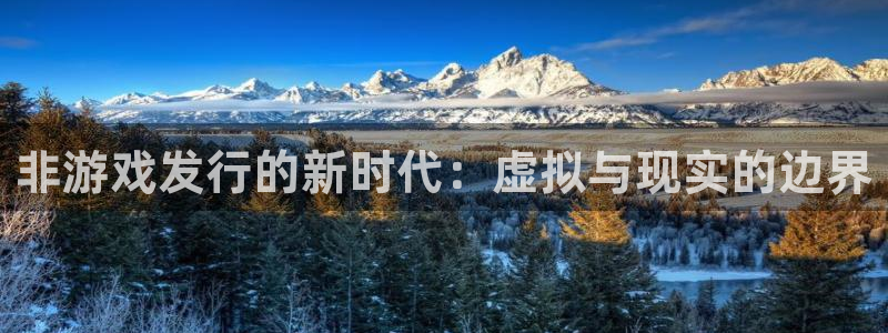 im电竞官网客服服务电话：非游戏发行的新时代：虚拟与现实的边界