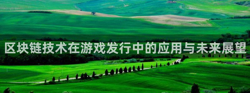 im电竞实业投资(东莞)有限公司：区块链技术在游戏发行中的应用与未来展望