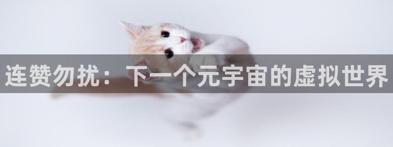 im电竞官网注册平台是什么意思：连赞勿扰：下一个元宇宙的虚拟世界